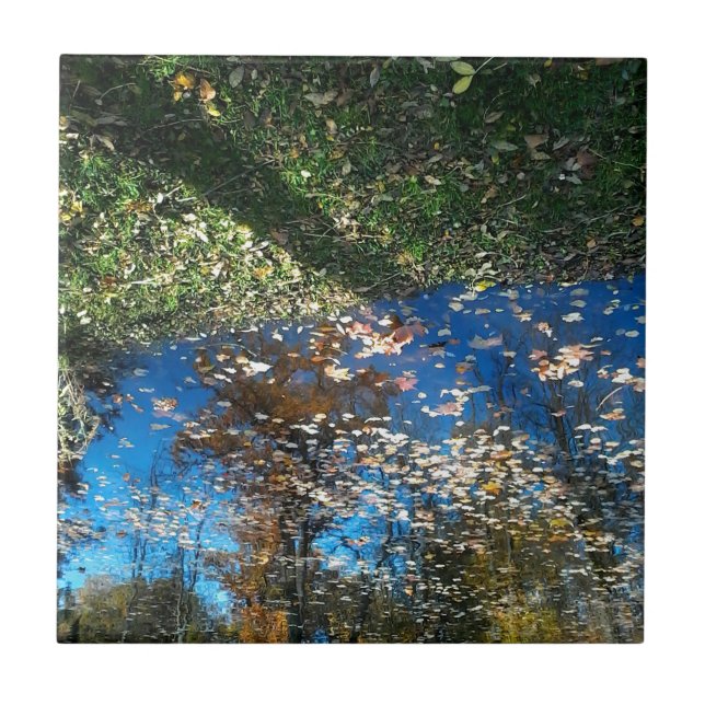 Cerâmica Azulejo de outono do Mirror (Frente)