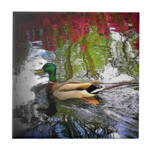 Cerâmica Azulejo de Pato Sul do País