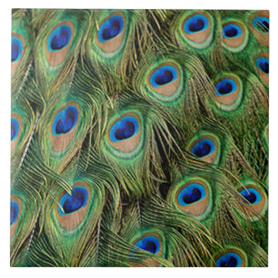Cerâmica Azulejo de Peacock