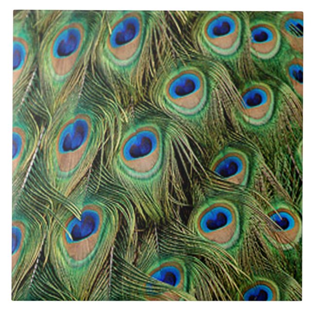 Cerâmica Azulejo de Peacock (Frente)