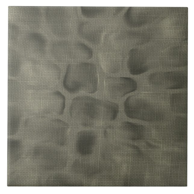 Cerâmica Azulejo de pedra cinzento da textura do teste (Frente)