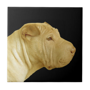 Cerâmica Azulejo de Perfil de Cachorro Shar-Pei Chinês