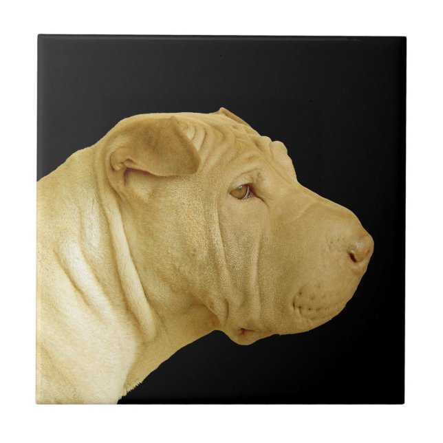 Cerâmica Azulejo de Perfil de Cachorro Shar-Pei Chinês (Frente)