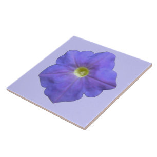 Cerâmica Azulejo de Petunia Azul