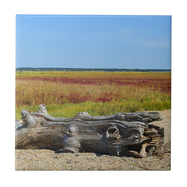 Cerâmica Azulejo de praia de Hammonasset (Frente)