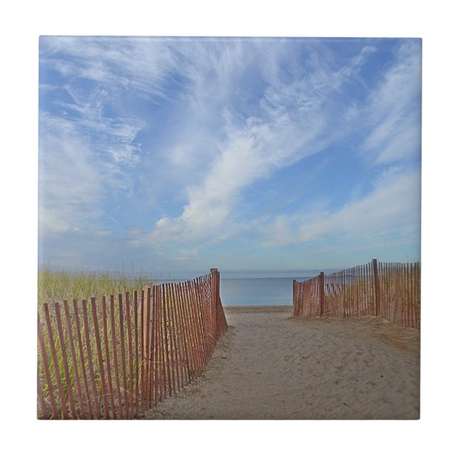 Cerâmica Azulejo de praia de Hammonasset (Frente)