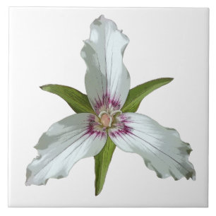 Cerâmica Azulejo de Primavera de Flor Selvagem Pintado