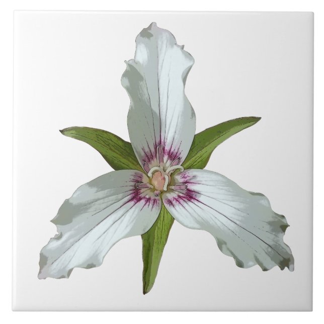 Cerâmica Azulejo de Primavera de Flor Selvagem Pintado (Frente)