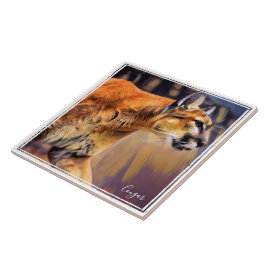 Cerâmica Azulejo de Puma