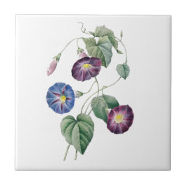 Cerâmica Azulejo de Redoute das corriolas