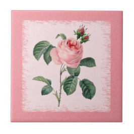 Cerâmica Azulejo de Redoute do rosa do rosa