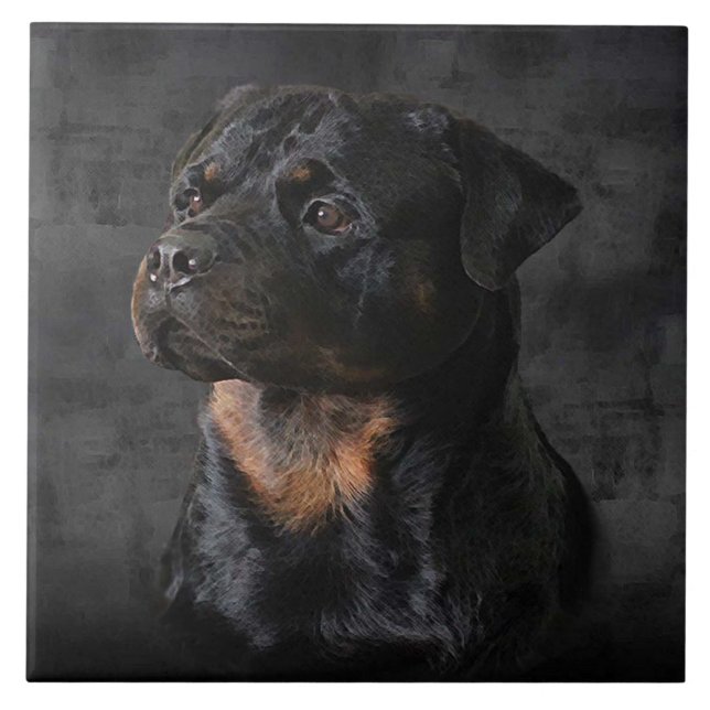 Cerâmica Azulejo de Rottweiler (Frente)