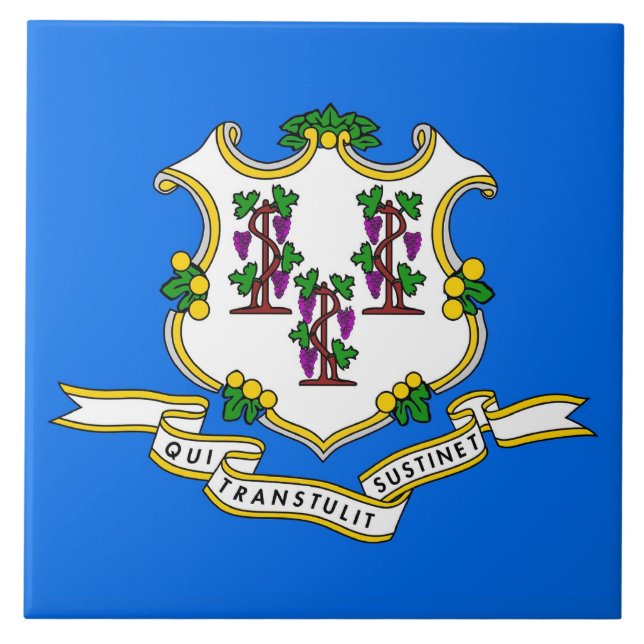 Cerâmica Azulejo de Sinalizador do Estado de Conexão (Frente)