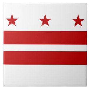 Cerâmica Azulejo de Sinalizador do Estado de Washington