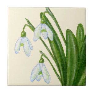 Cerâmica Azulejo de Snowdrops