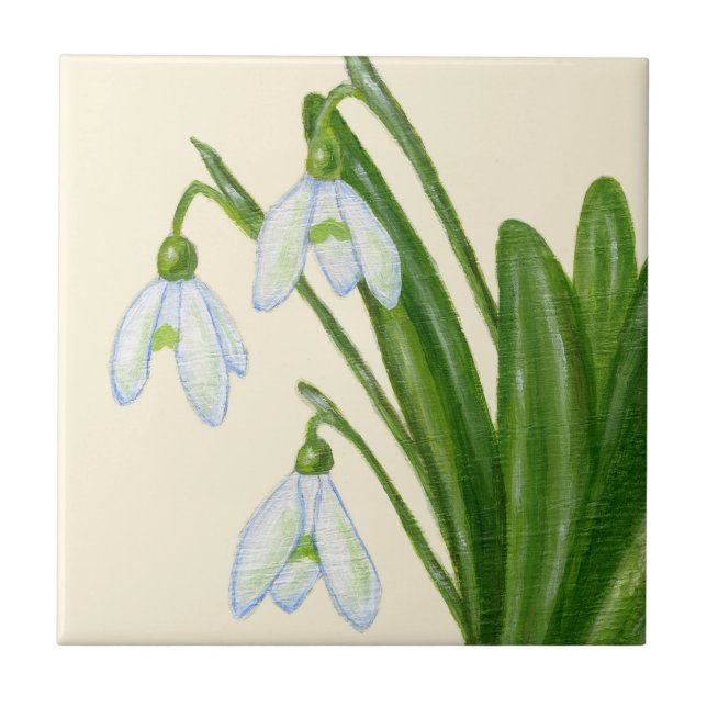 Cerâmica Azulejo de Snowdrops (Frente)