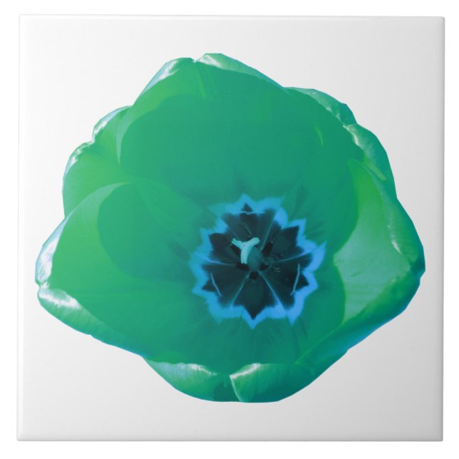 Cerâmica Azulejo de Tulipas Verde e Azul (Frente)