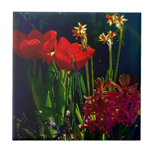Cerâmica Azulejo de Tulipas Vermelhas primavera
