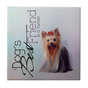 Cerâmica azulejo de Yorkshire Terrier