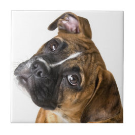 Cerâmica Azulejo decorativo de cão boxer