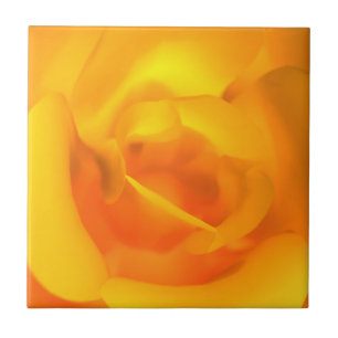 Cerâmica Azulejo decorativo de Rosas/Trivet