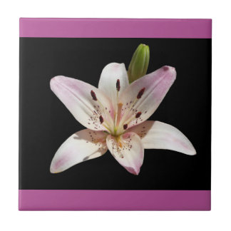 Cerâmica Azulejo Decorativo Flor de Lírio Aberta