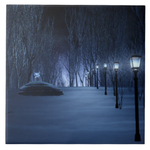 Cerâmica Azulejo Decorativo Leve de Fool