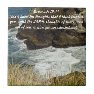 Cerâmica Azulejo do 29:11 de Jeremiah