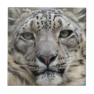 Cerâmica Azulejo do leopardo de neve