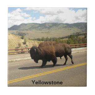 Cerâmica Azulejo do parque nacional de Yellowstone (2)