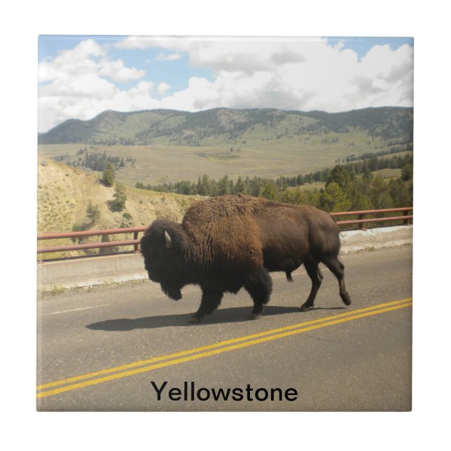 Cerâmica Azulejo do parque nacional de Yellowstone (2) (Frente)