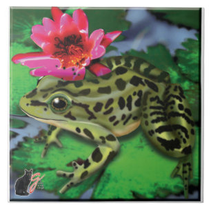 Cerâmica Azulejo do sapo de leopardo
