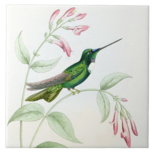 Cerâmica Azulejo dos colibris de Goulds