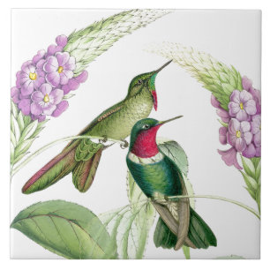 Cerâmica Azulejo dos colibris de Goulds