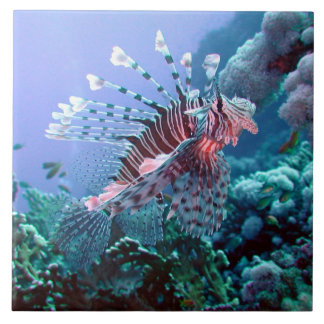 Cerâmica Azulejo dos peixes de Turquia
