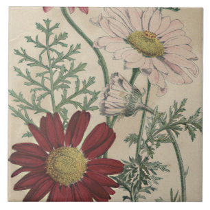 Cerâmica azulejo elegante de margarida