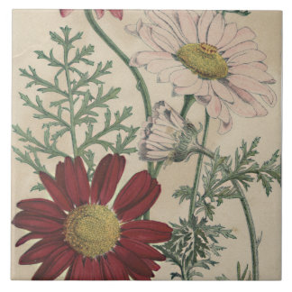 Cerâmica azulejo elegante de margarida