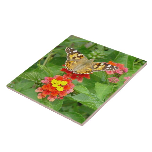 Cerâmica Azulejo Flores de Borboleta (Lateral)