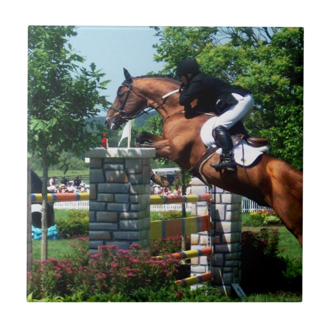 Cerâmica Azulejo grande do cavalo de Prix (Frente)