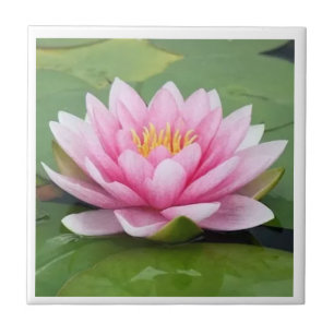 Cerâmica Azulejo Nacional de Flor de Bangladesh