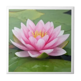 Cerâmica Azulejo Nacional de Flor de Bangladesh