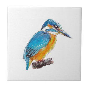 Cerâmica azulejo nenhuns do martinho pescatore 6, de um