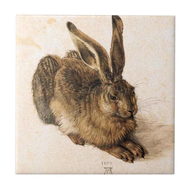 Cerâmica Azulejo novo da lebre de Albrecht Durer (Frente)