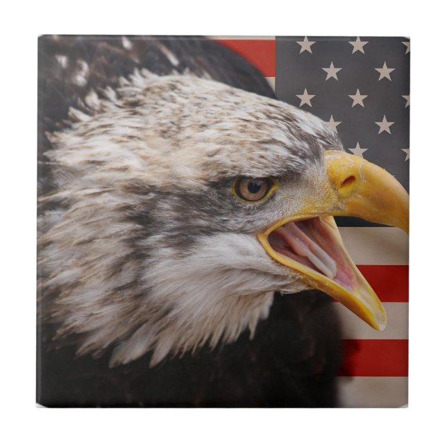Cerâmica Azulejo patriótico da imagem de Eagle (Frente)