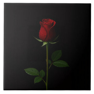 Cerâmica Azulejo Preto 4 Luxe com Rosa Vermelha de Veludo