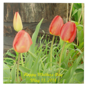 CERÂMICA  AZULEJO PRIMAVERA 2 DIA DE AS MÃES