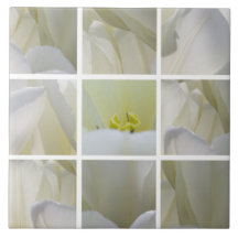 Azulejo Quadrado de Tulipas Brancas
