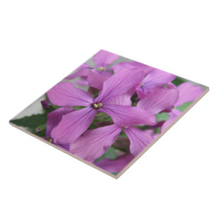 Cerâmica Azulejo Roxo de Flores Selvagens