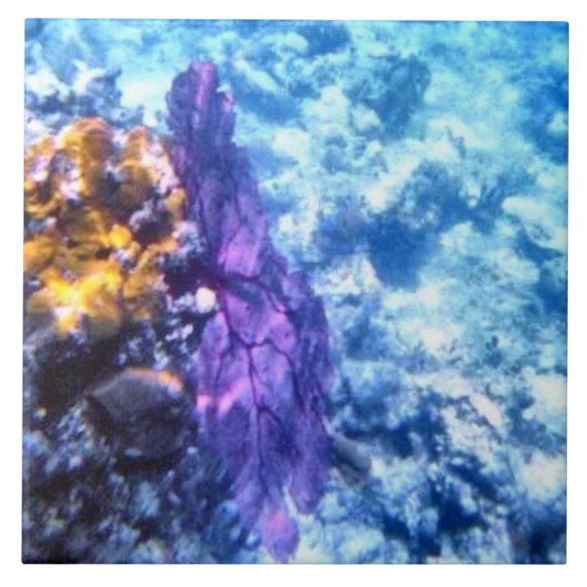 Cerâmica Azulejo roxo do fã de mar (Frente)