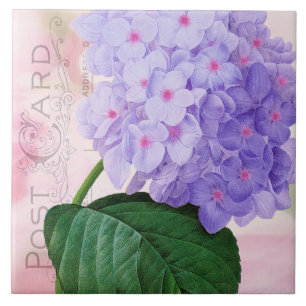 Cerâmica Azulejo roxo francês do Hydrangea de Redoute
